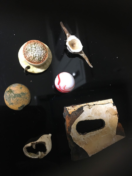 What's the oddest thing you have found while beachcombing?