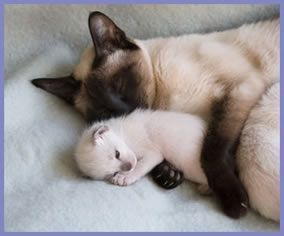 Westministenders: Its the waiting that kills you