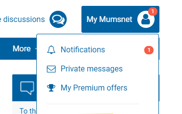 How to view your Mumsnet notifications