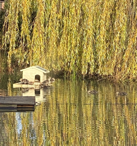 NOT what I expected to wake up to this morning...