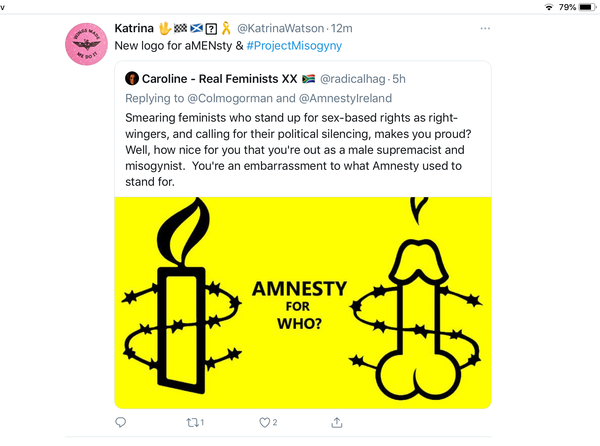Amnesty International (Ireland) and NGO's argues for removal of political representation of women who defend biologicial reality