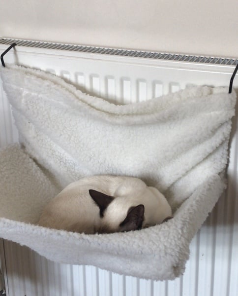 Come and tell me your dull and unexciting news 6: Calmly through the day