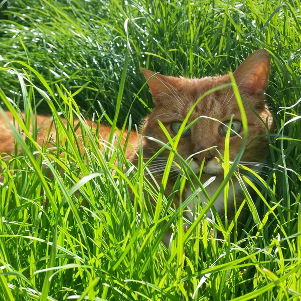 Some Cheddar love to brighten up this miserable day.