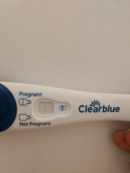Nov Bus 20 - CD1 can suck hairy b*lls