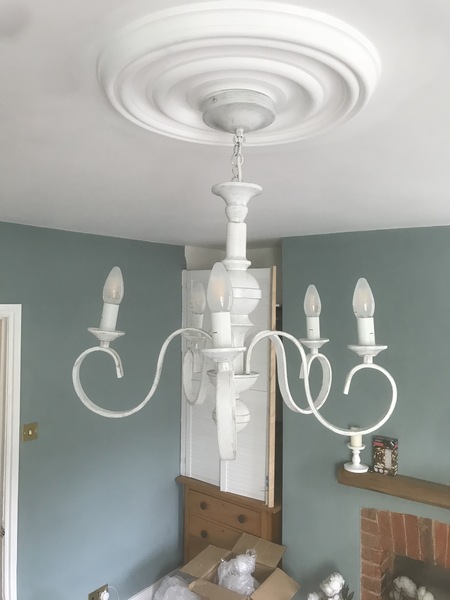 Plastic or Plaster Ceiling Rose...advise please
