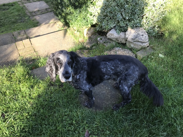 Come and tell me your dull and unexciting news 6: Calmly through the day