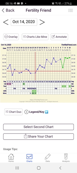 Faint bfp or frer indent?