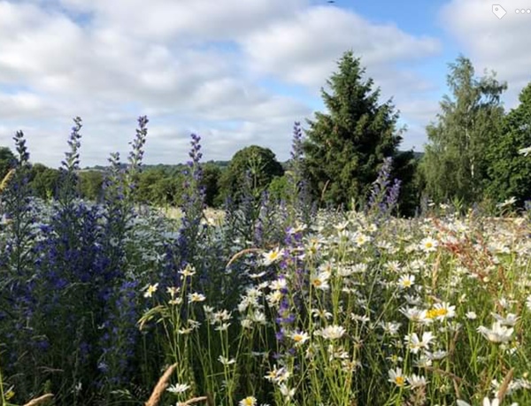 We want to move to an AONB in the U.K. help please