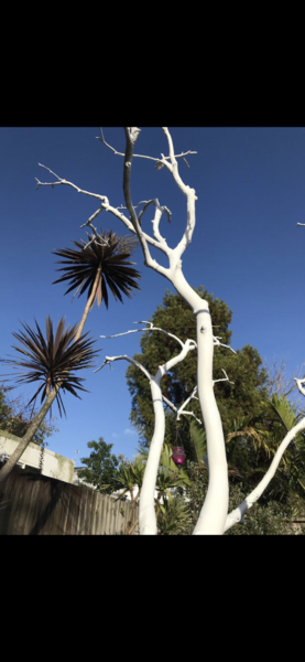 Very very cheap and lovely gifts you've received and loved