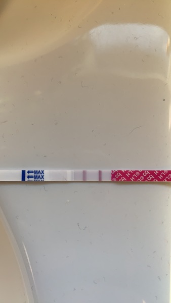 I got my positive ovulation test, what next??