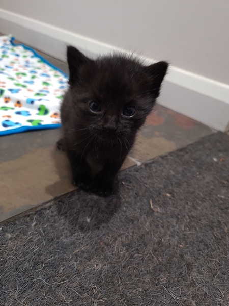 So I found something in my shed this morning...