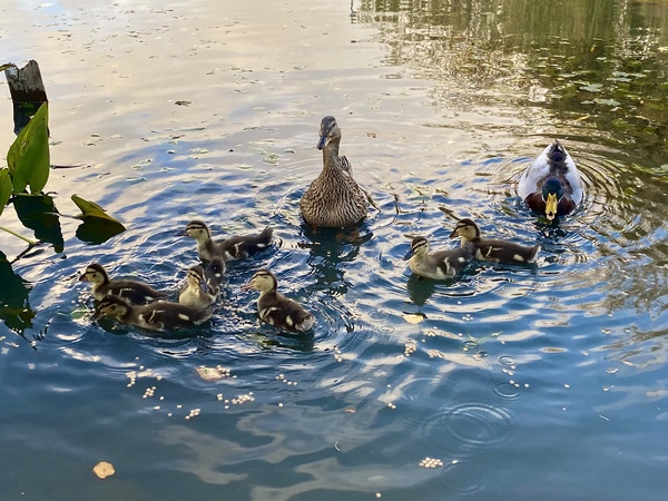 NOT what I expected to wake up to this morning...