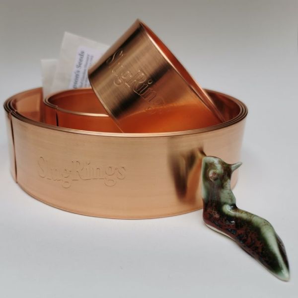 Thread 23 - the one where the shops are actually open again