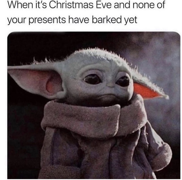 Can we have a meme thread?
