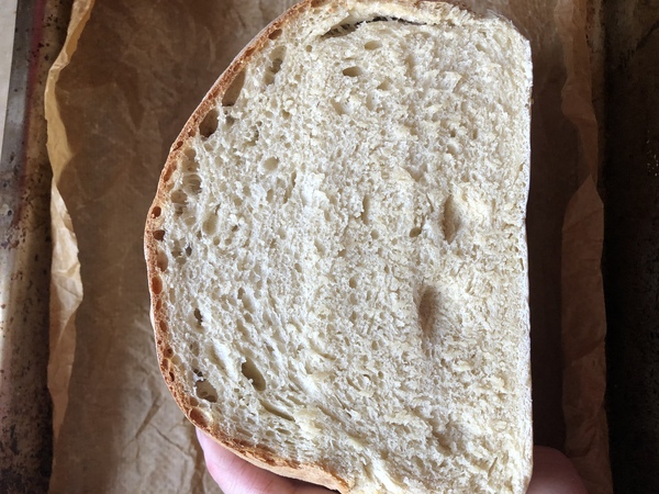 Why is my bread so shite?