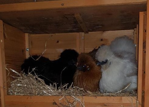 Come and tell me your dull and unexciting news 6: Calmly through the day