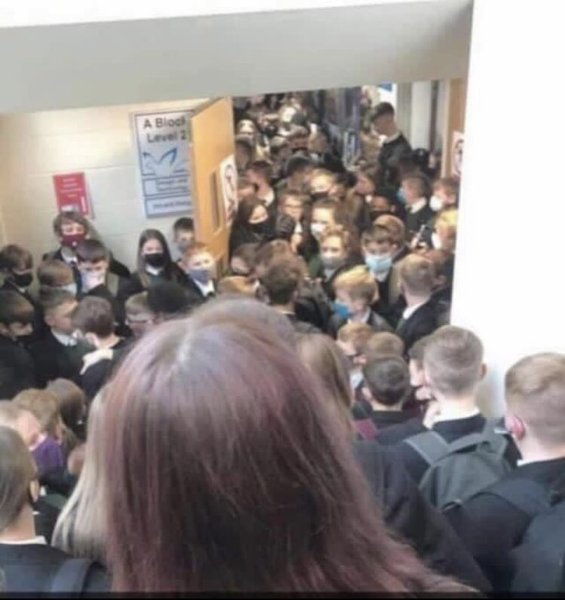 Schools should close for 2 weeks after the Christmas mixing
