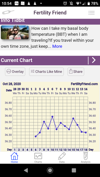 Penguin huddle 🐧🐧🐧 TTC after pregnancy loss - Thread 35 - time for some sticky BFP's