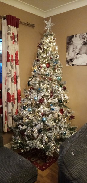 Get your trees out!!!!!
