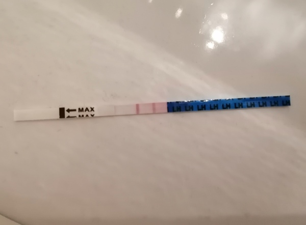 Peak on OPK lasting 3 days...