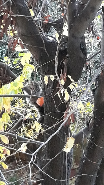 Westministenders: Its the waiting that kills you