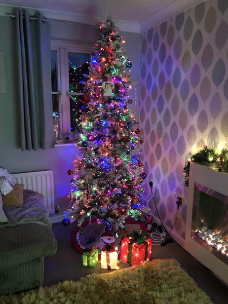Get your trees out!!!!!