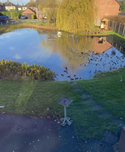 NOT what I expected to wake up to this morning...