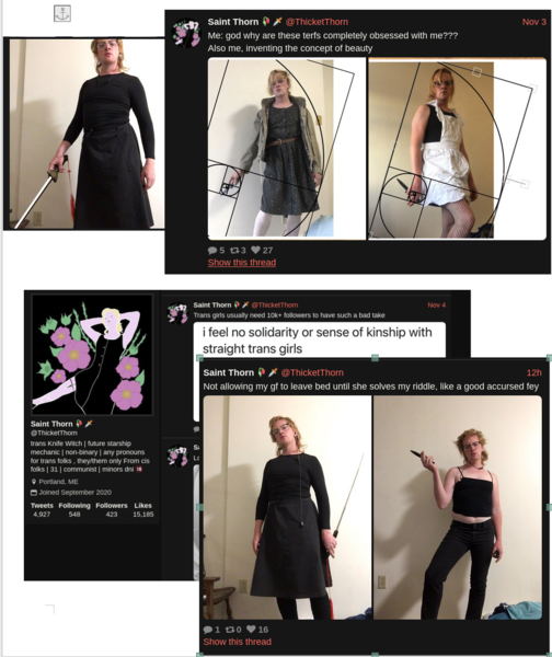 Women win guarantee over female only public lavatories - the Times