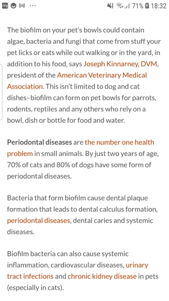 Dog food bowl in dishwasher