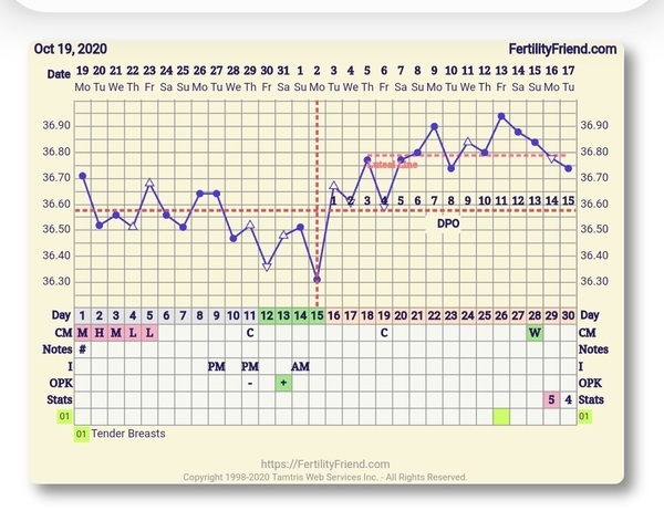BBT still above coverline after bleed. Help?