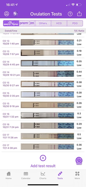 CSG (Thread 4)