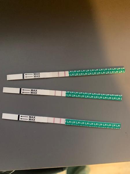 Support thread for women who are pregnant or TTC following a termination for abnormalities. Thread 7