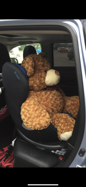 Thread 22 - the one with mad sheep disease