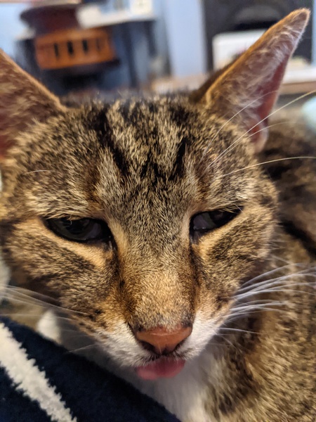 Come and tell me your dull and unexciting news 6: Calmly through the day