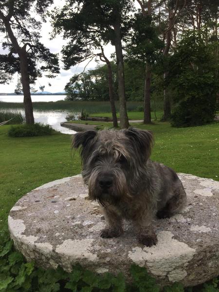 Come and tell me your dull and unexciting news 6: Calmly through the day