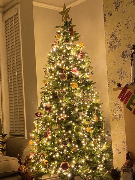 Get your trees out!!!!!