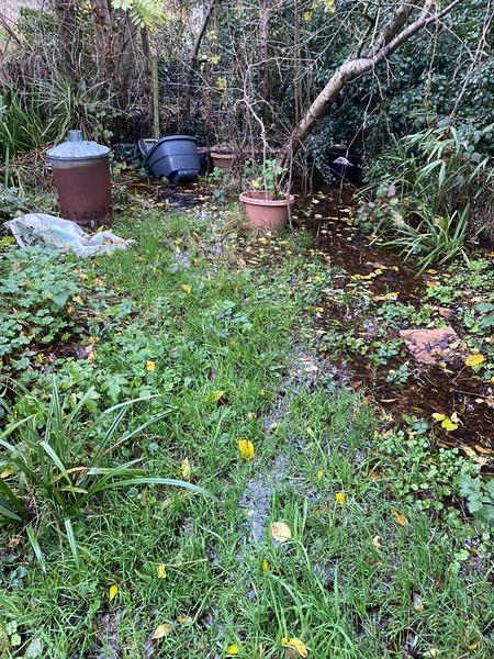 Inherited nightmare house - what to do?