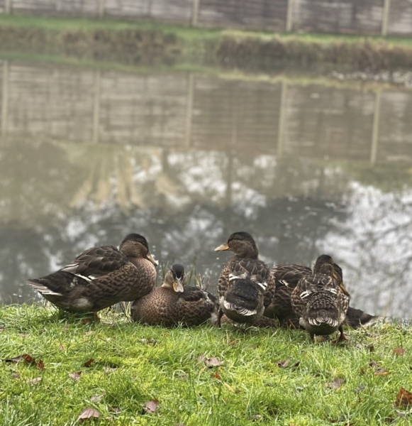 NOT what I expected to wake up to this morning...