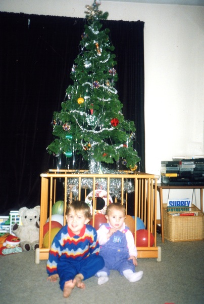 Protecting the tree from baby