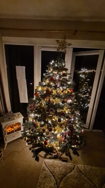 Get your trees out!!!!!
