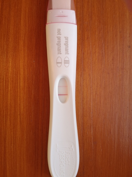 Sperm Meets Egg Plan