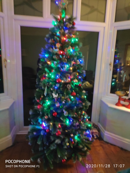 Get your trees out!!!!!