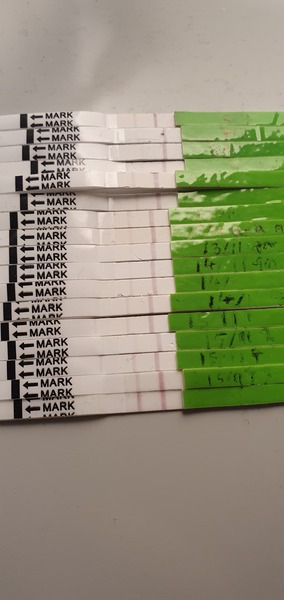 Sperm Meets Egg Plan