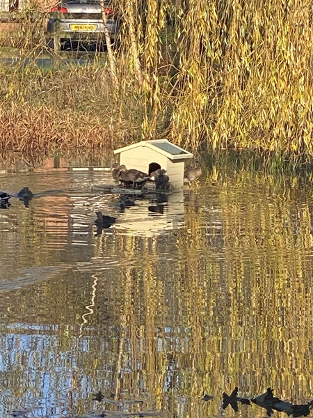 NOT what I expected to wake up to this morning...