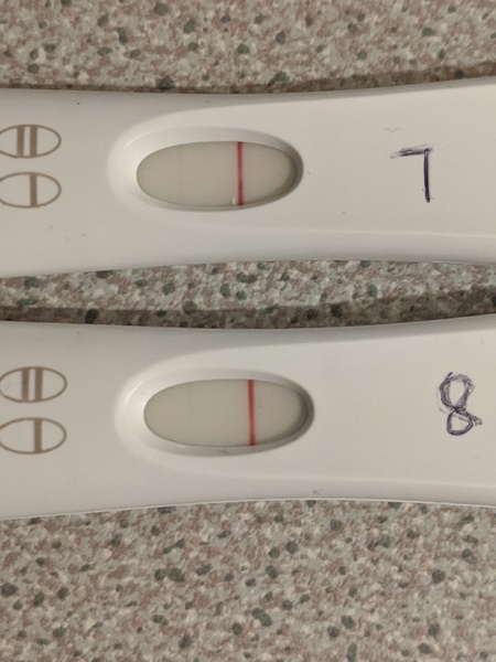 Negative test 6dpo