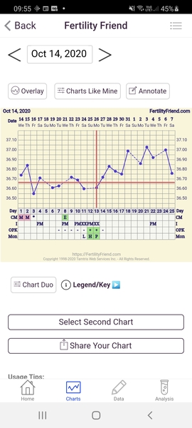 TTC cycle 1 (just come off pill) for #1