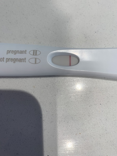 BFP rainbow babies