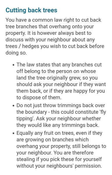 Neighbour trimmed my bush