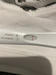 Line eyes please! FRER half pink line?