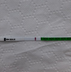 False positive on phenergan/promethazine hydrochloride/night nurse